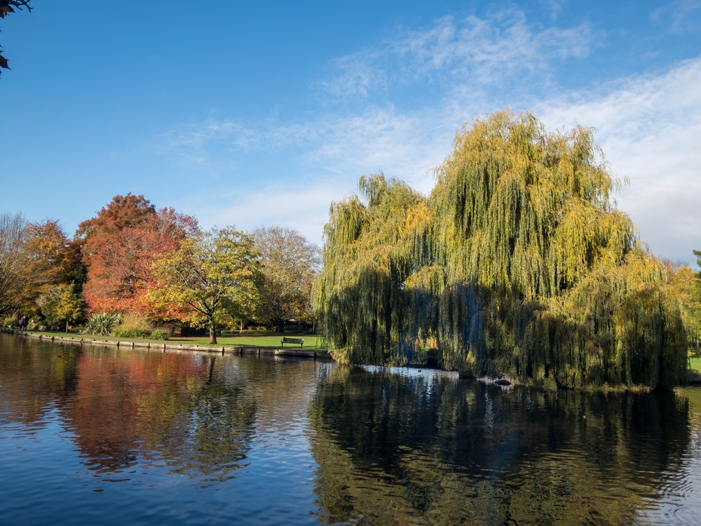 Pallas Capital completes £2m development loan for assisted living scheme in Wallington